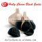 2016 best selling healthcare fermented peeled solo black garlic 100g/bottle