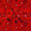 digital print 100% silk habotai fabrics