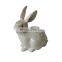 white rabbit pewter rhinestone luxcury jewelry gift boxes