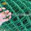 Green PVC Coated Chain Link Wire Mesh Fence