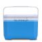 Wholesale custom 8 liter insulated cooler box plastic cooler with ice pack