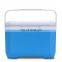 Custom Portable 8 Liter Insulated Cooler Box Plastic Ice Cooler With Handle