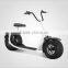 800W Citycoco Balancing Electric Scooter ,2016 fashionable citycoco 2 wheel electric scooter,adult electric motorcycle scooter