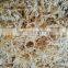 Organic Dried Eucheuma Cottonii Seaweed / Sea moss/ Irish moss From Vietnam