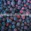 Sinocharm Fresh and juicy healthy and insect-free, seven processes ensure no foreign matter IQF Frozen Blackberry