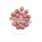 Sinocharm BRC-A approved IQF lychee with skin Frozen Lychee