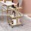 Manicure Special Rack Beauty Eyelashes Hair Tattoo Embroidery Storage Rack Beauty Cart