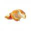 Citrus aurantium extract orange peel extract