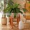 Eco Friendly Natural Set Rattan Plant Stand With Seagarss Plant Holder Unique Wicker Flower Pot Holder Basket Wholesale