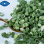 freeze dried Chive