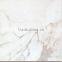 Foshan marble design Glazed Polished tiles DL6252