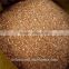 vermiculite powder for linoleum