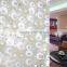 Decorative PVC Film Stained Windows Anti-UV