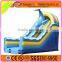 Blue Whale inflatable water slide