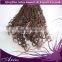 Brazilian Kinky Curly Lace Closure Bleached Knots,4x4 Free/Middle/Three Part,6A Grade 100% Virgin Human Hair Closure Pieces