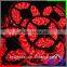RGBW Color Professional 20-22lm/leds 5M 150pcs SMD5050 Aluminum RGB Programmable Led Strip Light