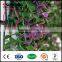 indoor screen panels privacy fence covering green plant