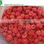 IQF good quality frozen raspberry