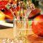 fruit fork set