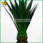 wholesale artificial agave bonsai plants for interior decoration