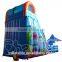 Inflatable dolphin water slide, Marlin Splash Slide, Inflatable water slide