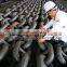 china supplier welded marine stud link anchor chain