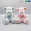 New Product EN71 Standard Pink and Blue Bear Baby Toys with LOGO