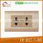 1 gang 2pin american standard socket