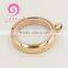 Stainless Steel Jewelry Main Material and Anniversary,Wedding,Gift,Party,Engagement Occasion floating locket charms pendants