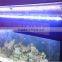 DSunY good user experience coral and reef 72" marine led aquariums lightings for coral and reef