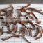IQF Frozen black fungus strips