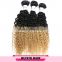 2016 Cheap real human hair extensions/ premium jazzy hair extensions /silver human hair extensions