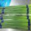 2015 china young garlic shoot , 250g one boundle