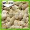 Top sales raw edible seeds Shine Skin Pumpkin Seeds (light yellow color) with best price from China