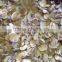 price of champignon sliced mushroom canned champignon button mushroom price