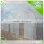 High Quality Commercial Multi-Span Vegetable Mushroom Greenhouse
