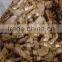 VE Pump Spare Parts Roller