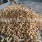 Newest Best Quality Cereal Snack Food Extruder Machine