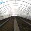 Poly Tunnel Vegatable Greenhouse covered by polythene film