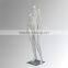 Fashion window sexy headless sitting female mannequins stand