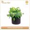 high quality fabric garden pots felt vegetable plant grow bags