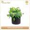 high quality fabric garden pots felt vegetable plant grow bags