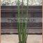 artificial succulent sansevieria cylindrica plant