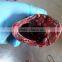 Frozen Bonito HGT