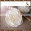 2015 Elegant and attractive natural family decorative sola flower diffuser
