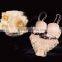 Ladies underwear nut www hot sex images lace bra panty set photo