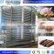 IQF frozen mango spiral conveyor freezing machine spiral blast freezer