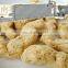 soybean protein food processing line