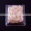 Nail Practice Removable Nail Tip 100 pcs Use With Nail Tip Display Stand