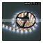 High lumens IP65 waterproof led strip light wholesale White black light led strip